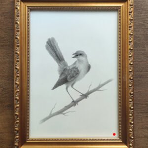 Nightingale - Marta Witkiewicz - sod